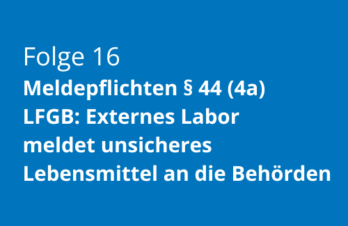Folge 1 (500 x 325 px) 16